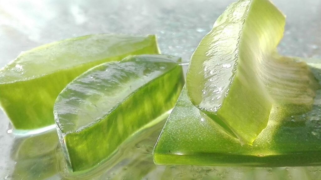 aloe, aloe vera, aloe vera leaf