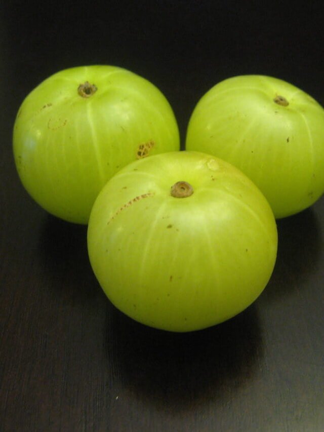 Amla Allure: 10 Tangy Tidbits!