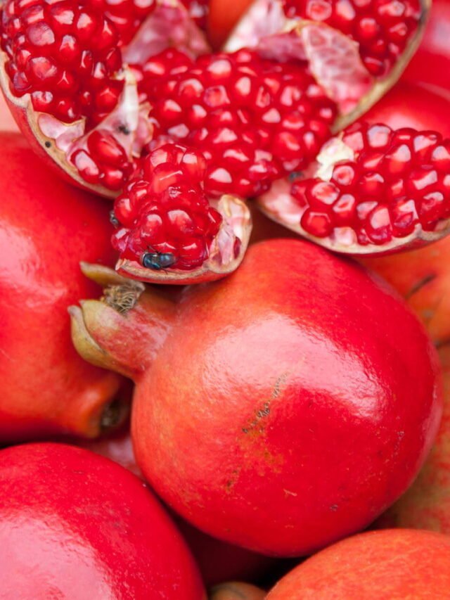 Pomegranate Pleasures: 10 Juicy Facts!