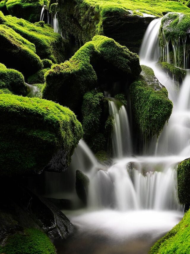 Unveiling Nature’s Majesty: 10 Simple Facts About Waterfalls You Need to Know